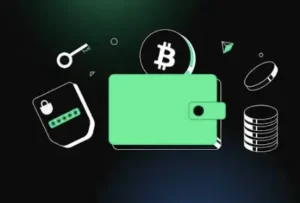 Browser-Based Crypto Wallets Explained